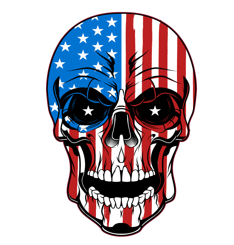 American Print Skull  3" STICKERS